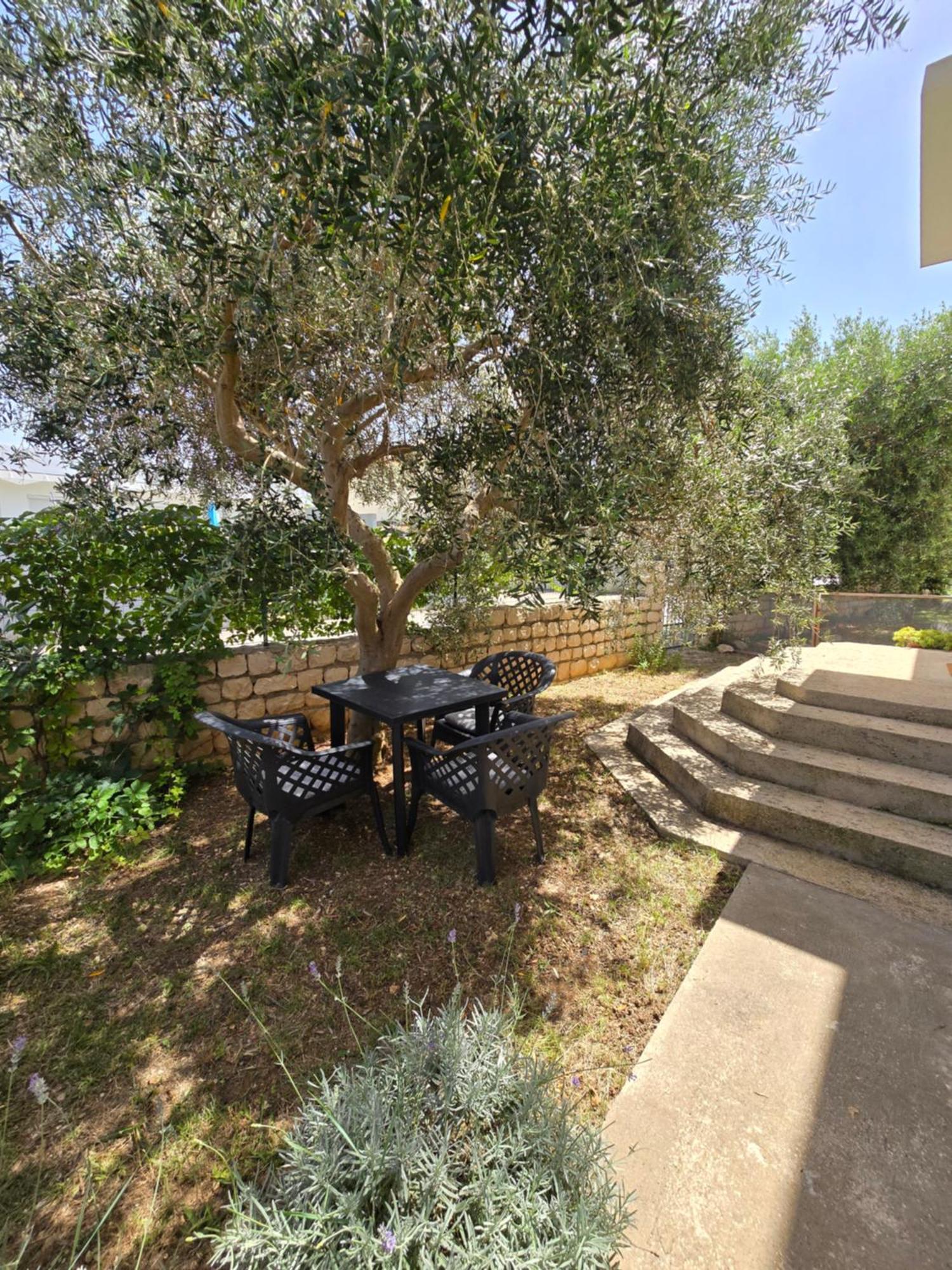Apartman Nea Nin Exteriér fotografie